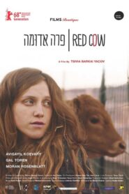 Para Aduma (Red Cow)